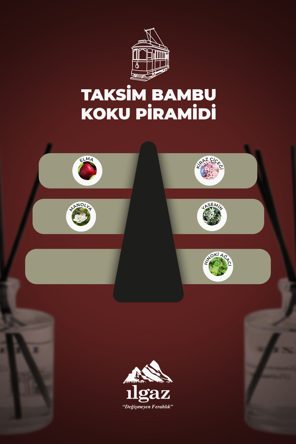 Taksim Bambu Çubuklu Oda Kokusu 500 ML | Türkiye Serisi
