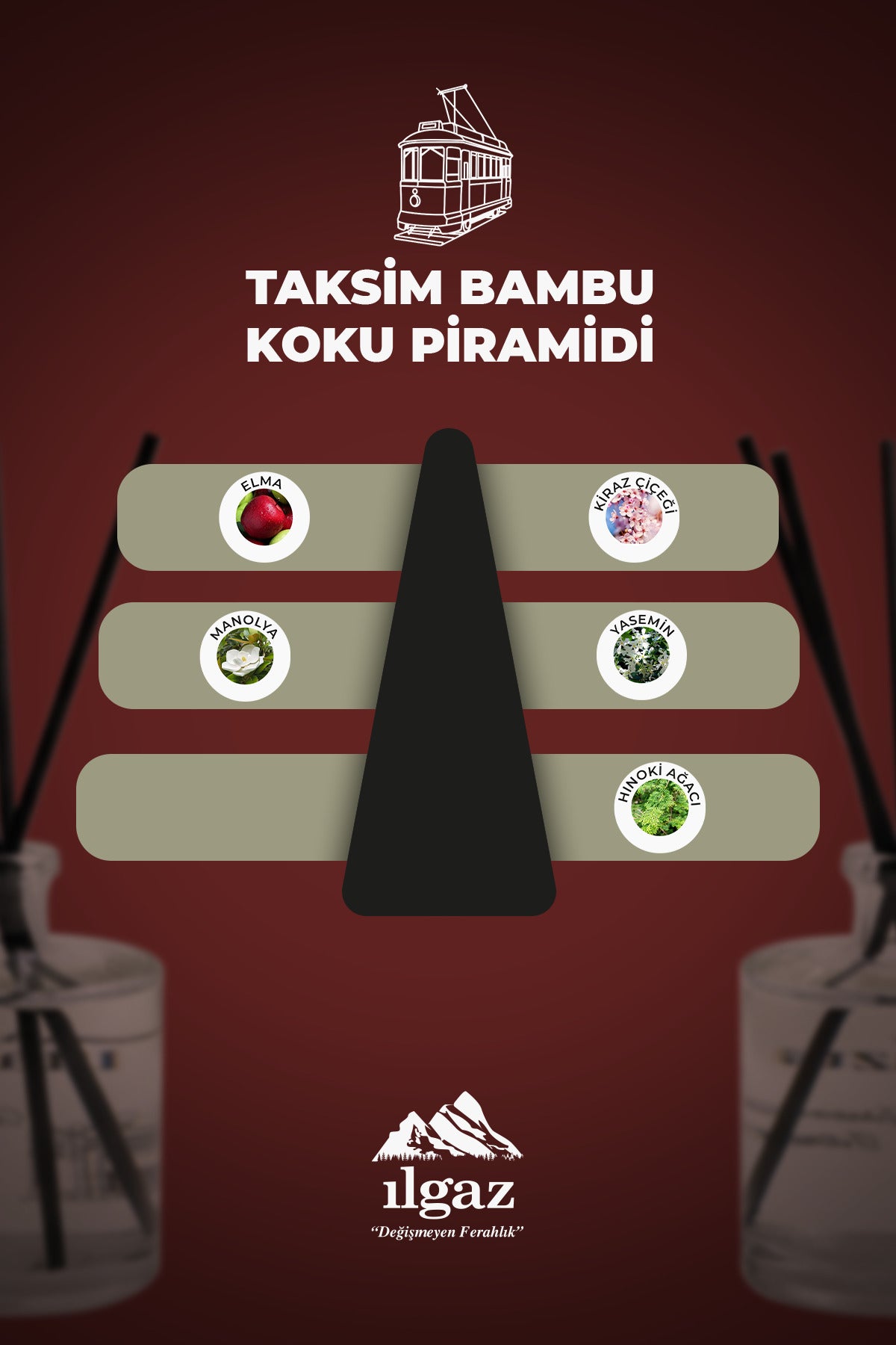 Taksim Bambu Çubuklu Oda Kokusu 500 ML | Türkiye Serisi