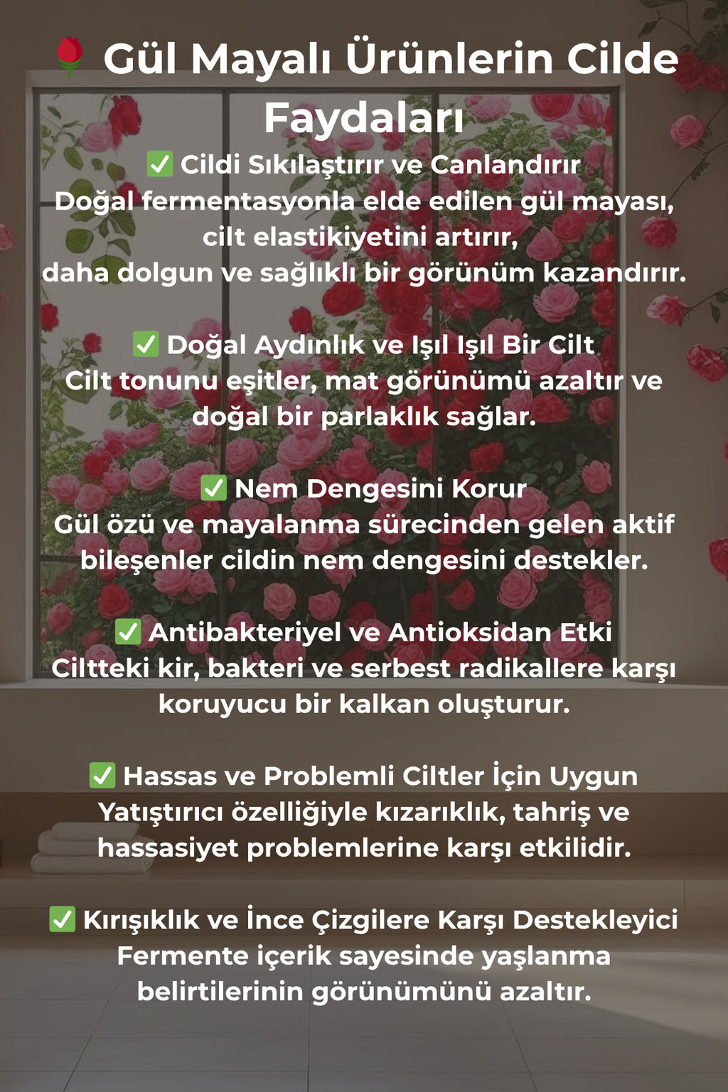 Akne Önleyici Gül Mayası 250 ml - 3'lü Eko Paket | Tonik Etkili Ve Gözenek Sıkılaştırıcı Gül Suyu