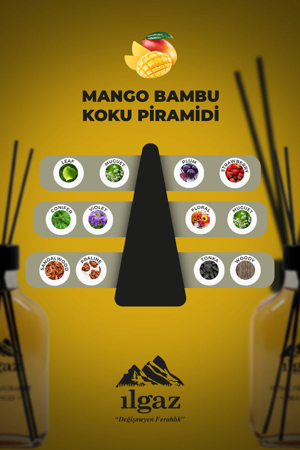 Mango Bambu Çubuklu Oda Kokusu 200 ML | XL Red Diffuser