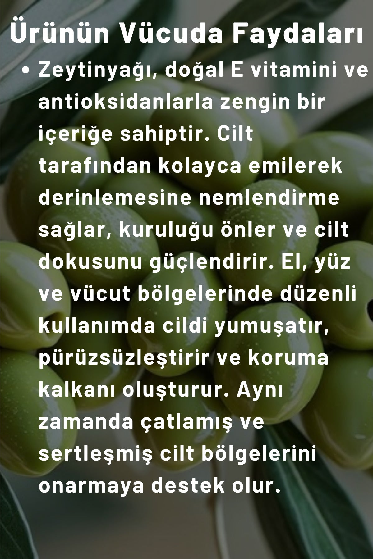 Zeytinyağlı Nemlendirici Krem 250 ml – El, Yüz & Vücut Losyonu Hassas Ciltler Için Besleyici