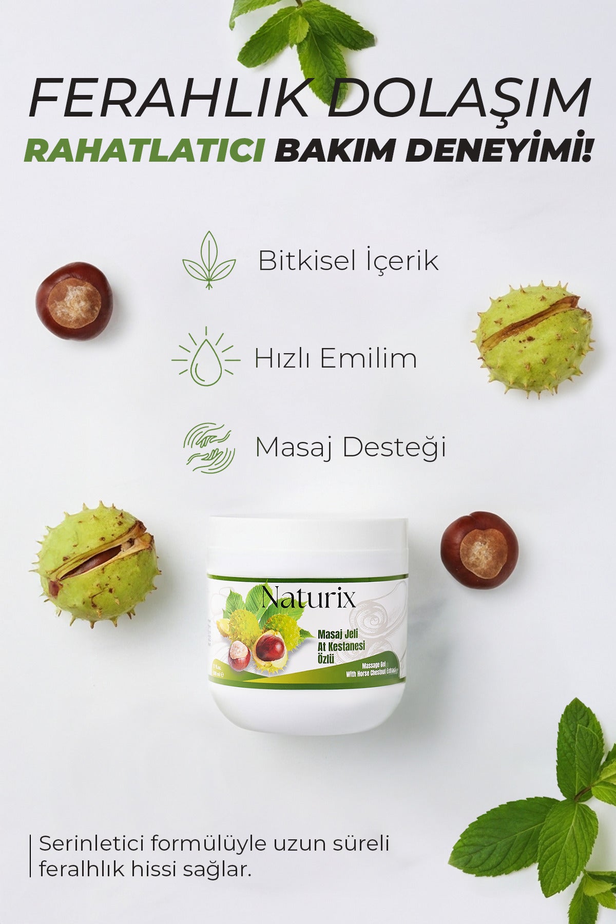 At Kestanesi Balsamı Masaj Jeli 2'li Eko Set - 500 ml