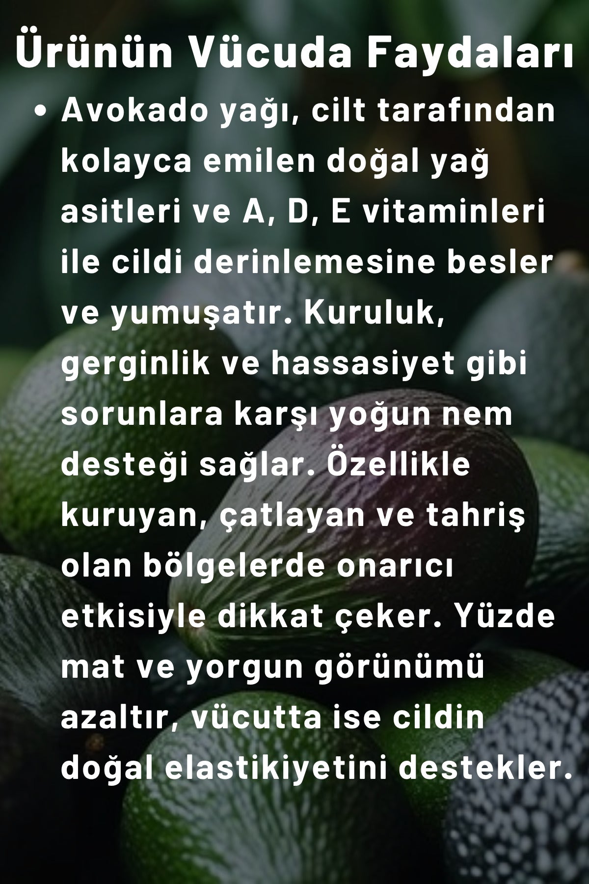 Avokado Özlü El, Yüz Ve Vücut Bakım Kremi 250 ml | Vitaminli Yağlar Serisi - Yoğun Nem Terapisi