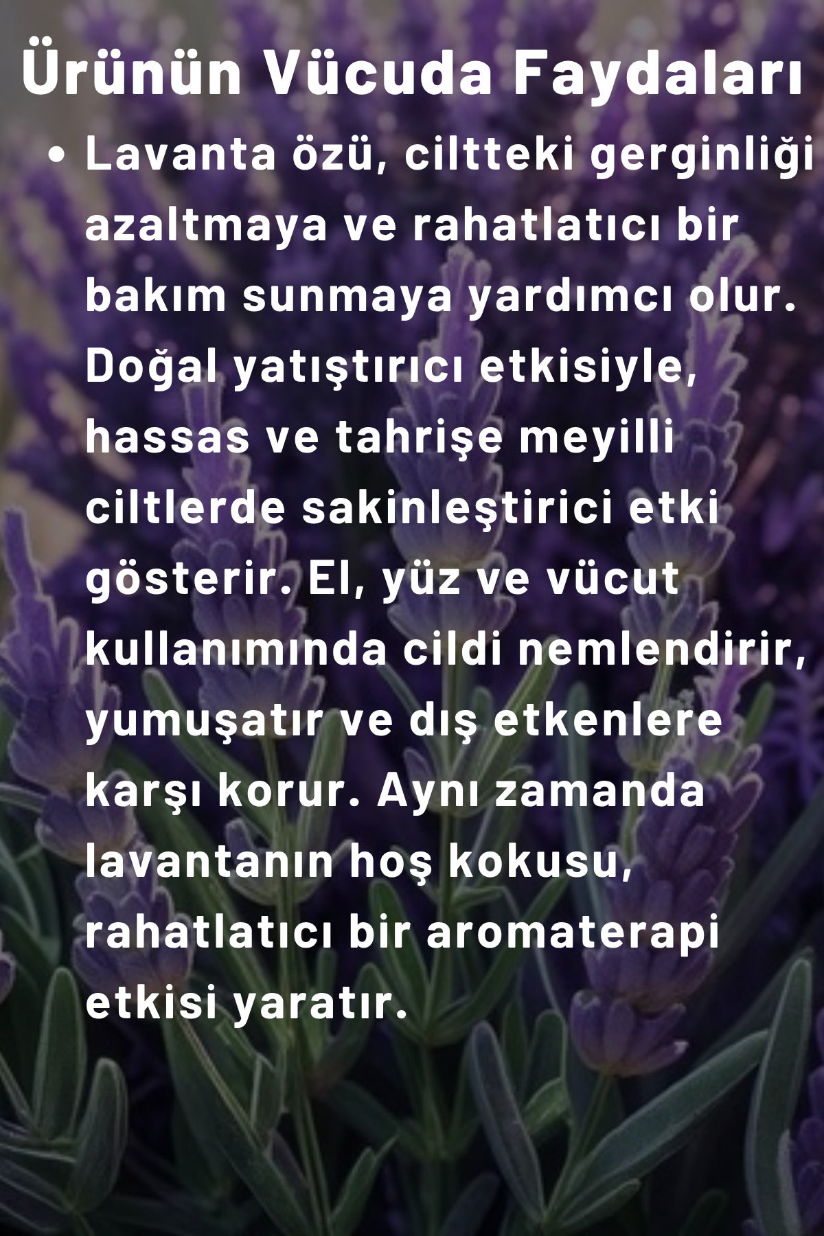Lavanta Özlü Organik Nemlendirici Krem 250 ml – El, Yüz & Vücut Doğal Yatıştırıcı Bakım